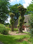tuin